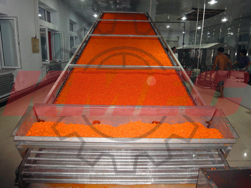 Carrot Drying Machine for Sale 