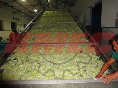 Vegetable Dryer Machine Sold Well in India