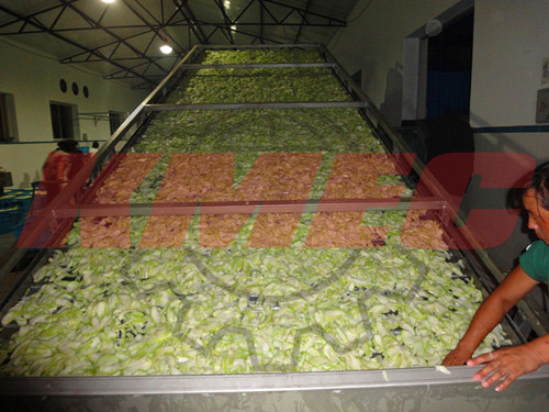 Vegetable Dryer Machine Working Condition 